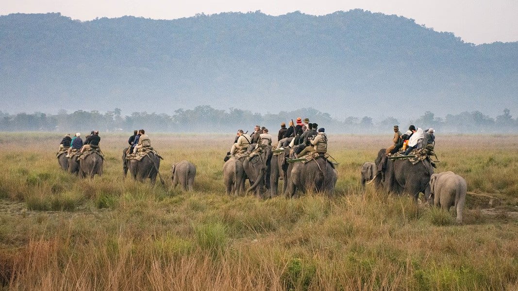 Kaziranga Tour Packages